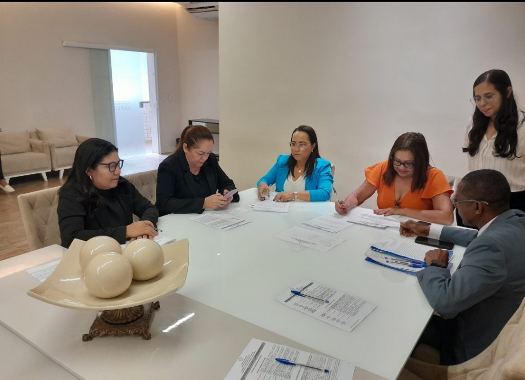 CCJ da Câmara de São Luís aprova proposta que garante vaga em escola para filho de mãe atípica e mais 14 projetos de lei