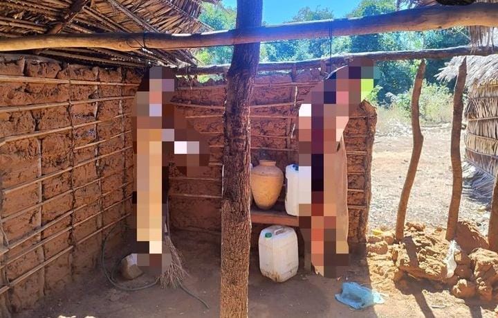 OPERAÇÃO PROTETORES DOS BIOMAS APREENDE ANIMAIS SILVESTRES EM SÃO RAIMUNDO DAS&nbsp;MANGABEIRAS