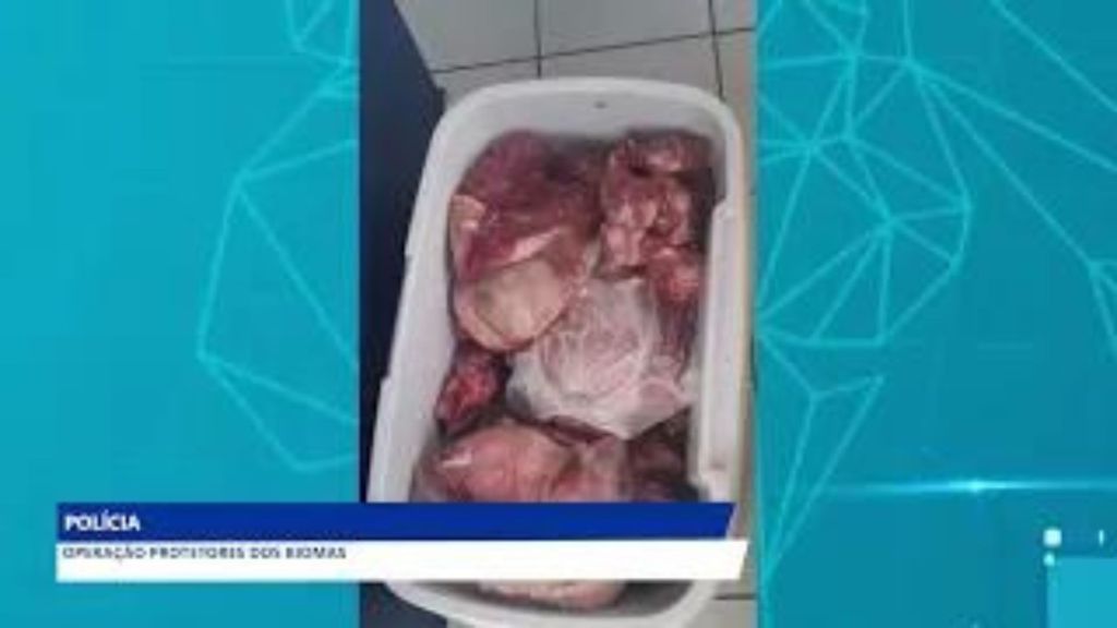 POLÍCIA CIVIL DO MARANHÃO PRENDE HOMEM POR POSSE IRREGULAR DE ARMA E CRIME&nbsp;AMBIENTAL