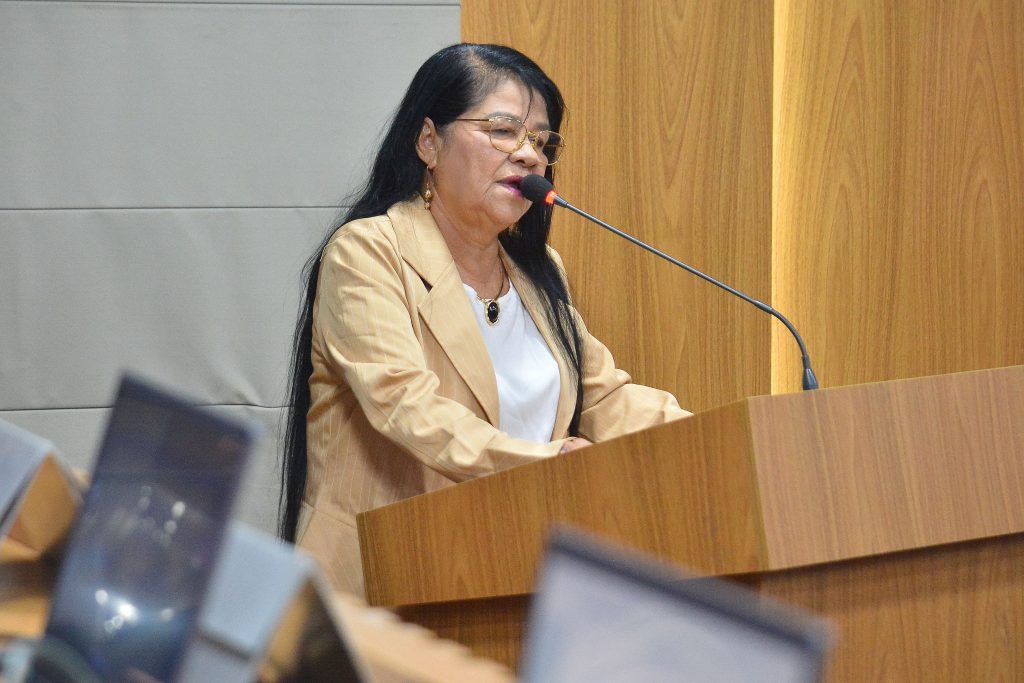 Vereadora apresenta projeto para estruturar e organizar comércio ambulante em São Luís