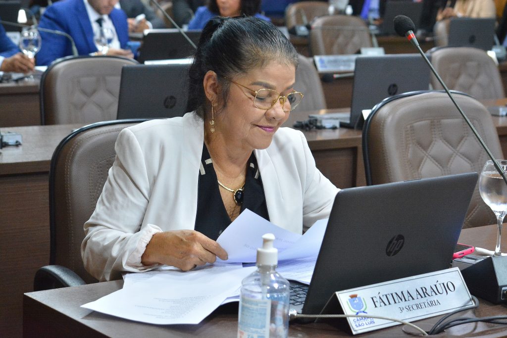 Vereadora solicita regularização fundiária para bairros de São&nbsp;Luís