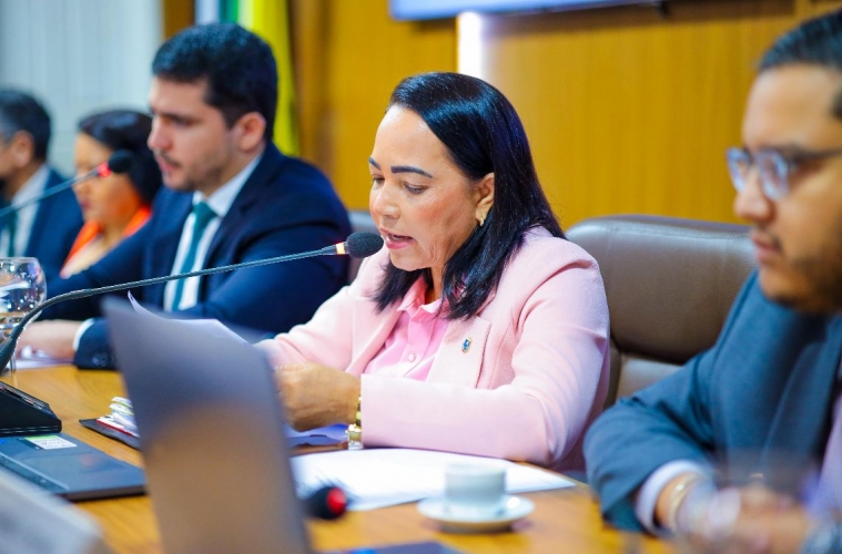 Vereadora propõe criação do programa Rota Cultural nos Bairros em São Luís