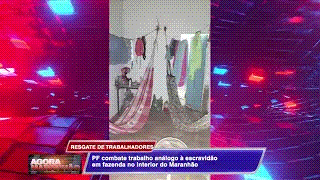 RESGATE DE TRABALHADORES EM CONDIÇÃO ANÁLOGA À ESCRAVIDÃO&nbsp;🚨👷‍♂️