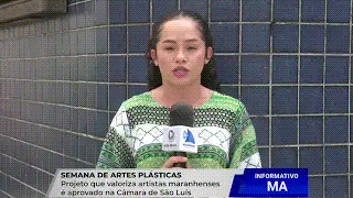 CÂMARA DE SÃO LUÍS APROVA CRIAÇÃO DA SEMANA DE ARTES PLÁSTICAS PÉRICLES&nbsp;ROCHA