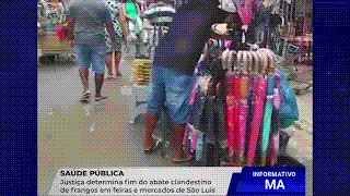JUSTIÇA MANDA ACABAR COM ABATE CLANDESTINO DE FRANGOS EM SÃO&nbsp;LUÍS
