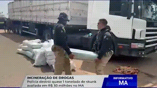 QUASE 1 TONELADA DE SKUNK AVALIADA EM R$ 30 MILHÕES É INCINERADA PELA POLÍCIA CIVIL DO&nbsp;MARANHÃO