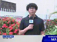 JUSTIÇA CONDENA FACEBOOK E MANDA RESTABELECER CONTA DE INSTAGRAM&nbsp;⚖️📱